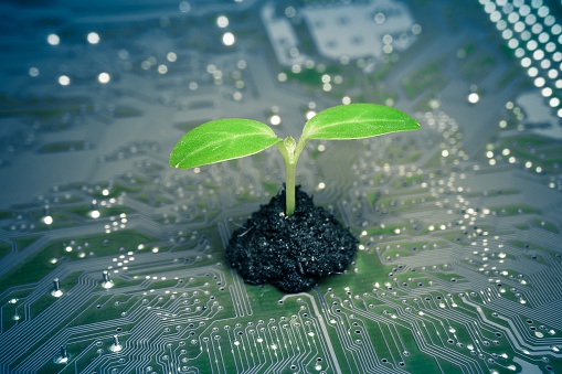 tree growing on a computer circuit board / green it / green computing / csr / it ethics